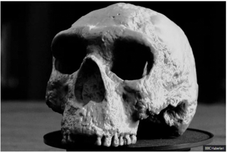 Kafatası-1milyonyaşında