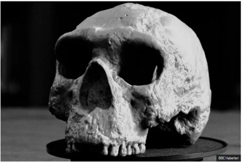 Kafatası-1milyonyaşında