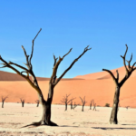 Kapitalizmin Zincirleme Reaksiyonu