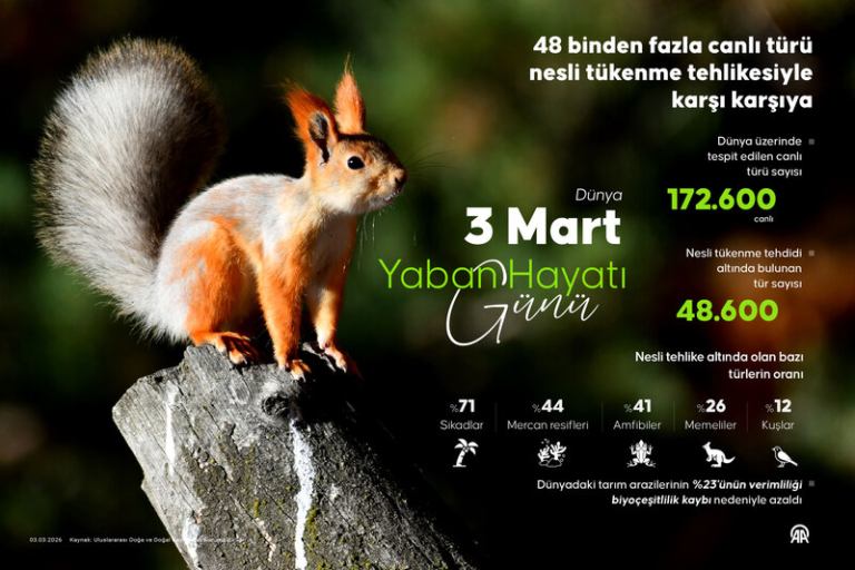 yaşam-hayvantürleri-yokoluyor